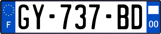 GY-737-BD