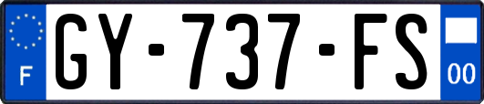 GY-737-FS