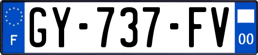 GY-737-FV