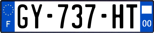 GY-737-HT