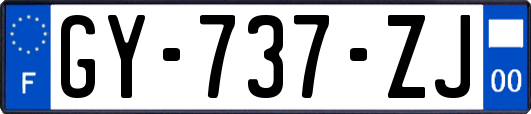 GY-737-ZJ