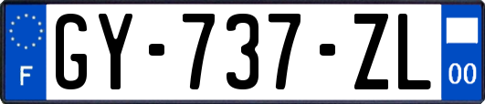 GY-737-ZL