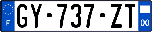 GY-737-ZT