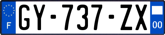 GY-737-ZX