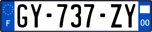 GY-737-ZY