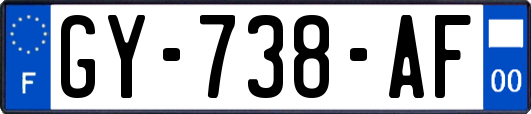 GY-738-AF