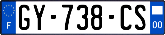 GY-738-CS