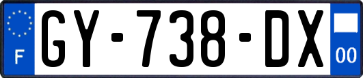 GY-738-DX
