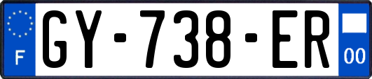 GY-738-ER