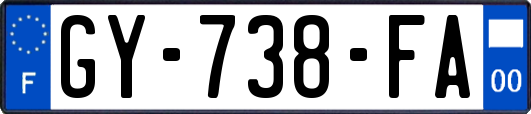 GY-738-FA