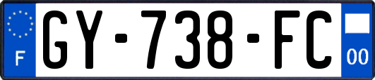 GY-738-FC