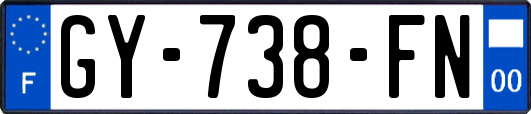 GY-738-FN