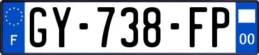 GY-738-FP