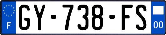 GY-738-FS