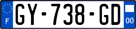 GY-738-GD