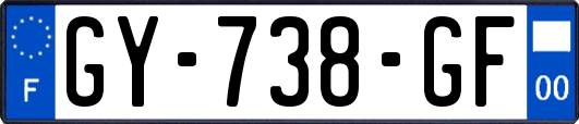 GY-738-GF
