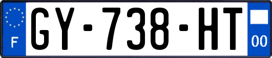 GY-738-HT