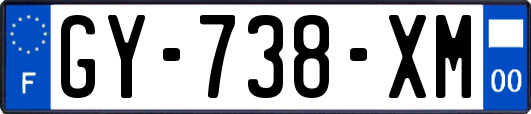 GY-738-XM