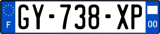 GY-738-XP