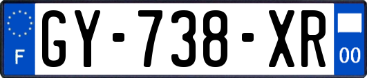 GY-738-XR
