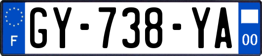 GY-738-YA