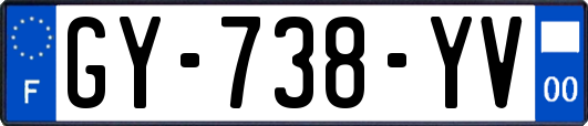 GY-738-YV