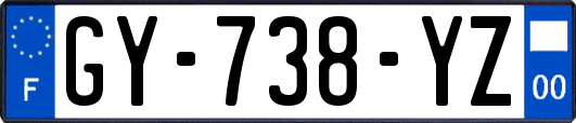 GY-738-YZ