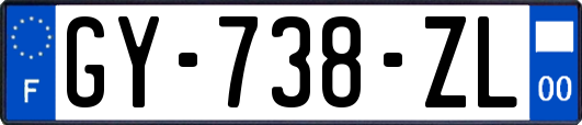 GY-738-ZL