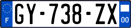 GY-738-ZX