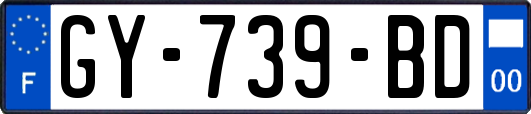 GY-739-BD