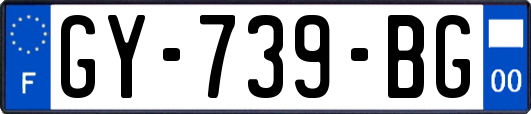 GY-739-BG