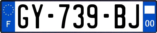 GY-739-BJ