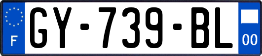 GY-739-BL