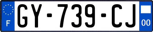 GY-739-CJ