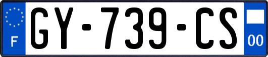 GY-739-CS