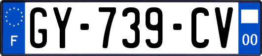 GY-739-CV