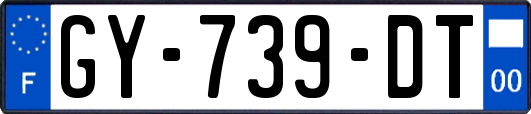 GY-739-DT