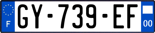GY-739-EF