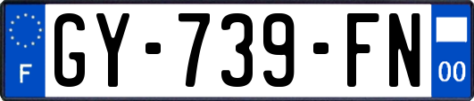 GY-739-FN