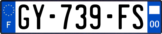 GY-739-FS
