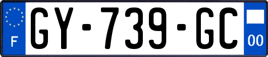 GY-739-GC