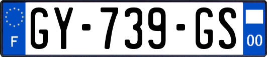 GY-739-GS