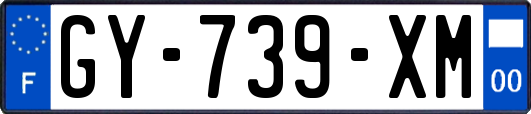 GY-739-XM