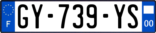 GY-739-YS