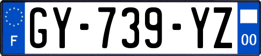 GY-739-YZ