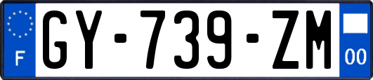 GY-739-ZM
