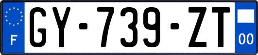 GY-739-ZT