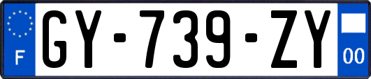 GY-739-ZY