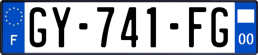 GY-741-FG
