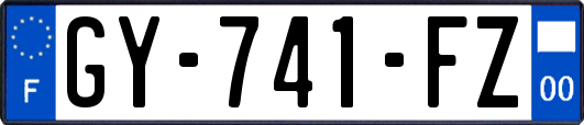 GY-741-FZ